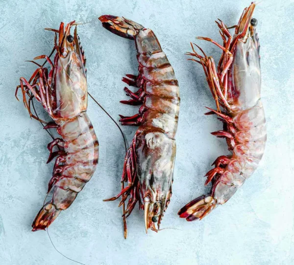 Jumbo Prawns